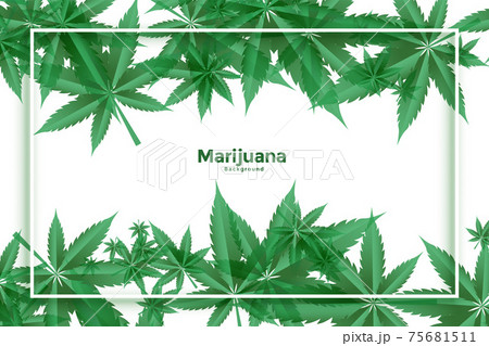 Marijuana And Cannabis Green Leaves Background のイラスト素材