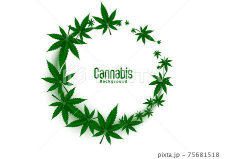 Cannabis Or Marijuana Weed Leaves Frames のイラスト素材