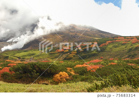 日本一早い紅葉の旭岳 75683314