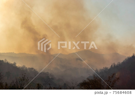 Forest fire smoke in northern Thailand. 75684608