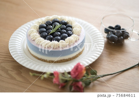 二層のブルーベリーヨーグルトムースケーキの写真素材