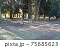 公園のベンチ 75685623