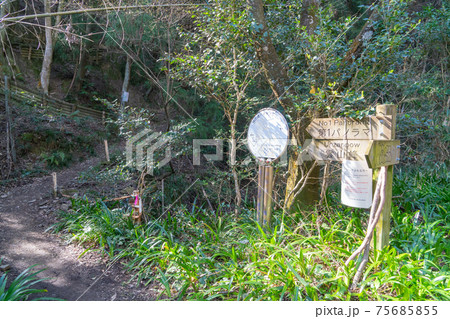 銀の峰ハイキングコースの登山口 銀の峰ハイキングコースの登山口 75685855