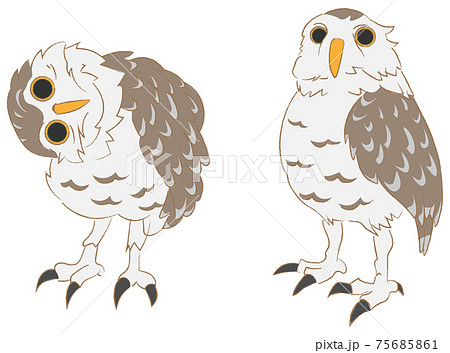 首を回すアナホリフクロウのセットのイラスト素材