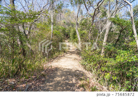鉄塔コースの登山道（雲山峰ハイキングコース） 75685872