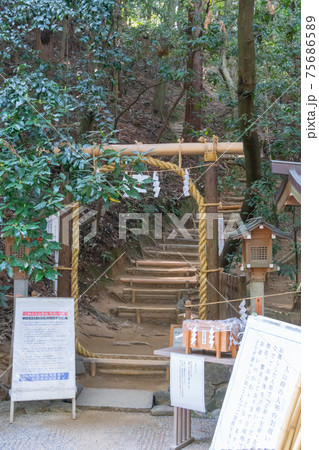三輪山の登山口（奈良県・山辺の道、鳥居より向こう側は撮影禁止） 75686589