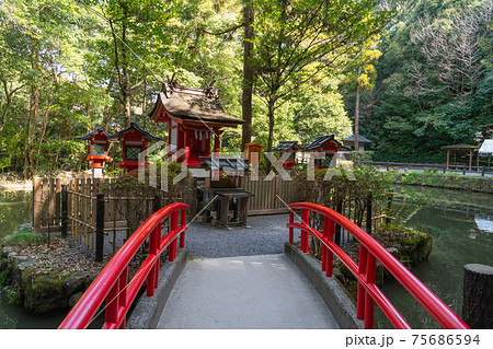 狭井神社の鎮女池（奈良県・山辺の道） 75686594