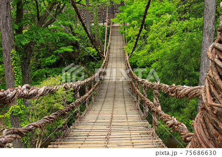 かずら橋 75686630