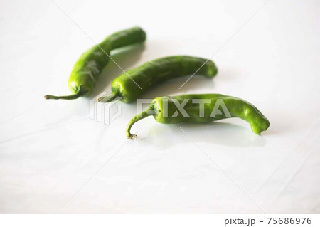 野菜　シシトウガラシ 75686976