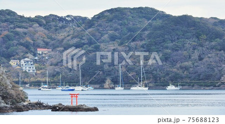 伊豆半島･下田の海 75688123
