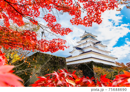 福島県会津若松市 鶴ヶ城天守と紅葉 福島県会津若松市 鶴ヶ城天守と紅葉 75688690
