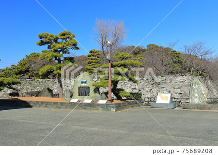 【徳島県】晴天下の徳島城 【徳島県】晴天下の徳島城 75689208