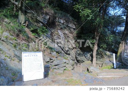 【徳島県】晴天下の徳島城 城山貝塚 【徳島県】晴天下の徳島城 城山貝塚 75689242
