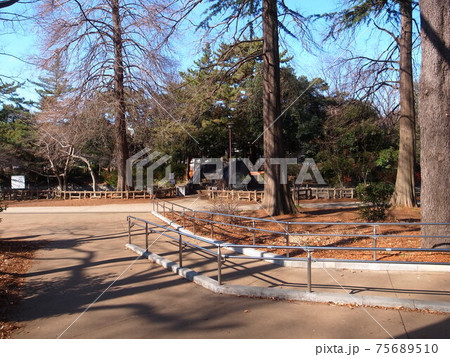 石神井公園 石神井公園 75689510