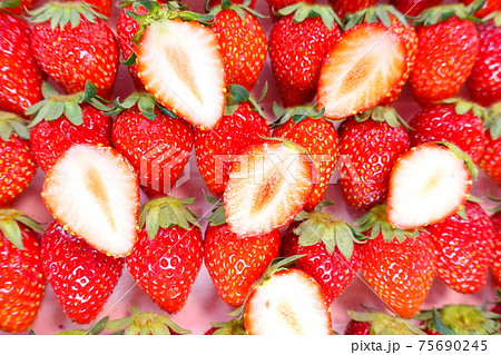 イチゴ いちご 苺 ストロベリー イチゴ いちご 苺 ストロベリー 75690245