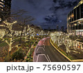 並木通りのイルミネーション 75690597