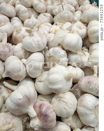 White garlic head heap top view 75691259