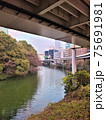 首都高高架下と赤坂の街並み 75691981
