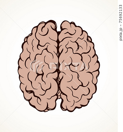 Brain Vector Drawing Icon Signのイラスト素材