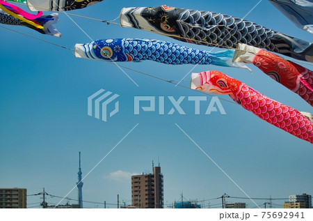 鯉のぼり 75692941