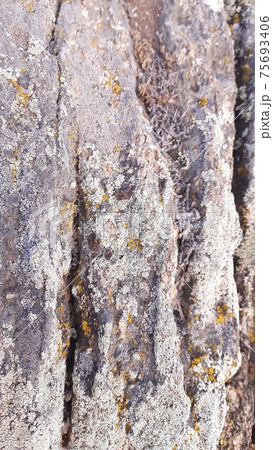 textured stone background embossed surface. textured surface of natural stone. invoice textured stone background embossed surface. textured surface of natural stone. invoice 75693406