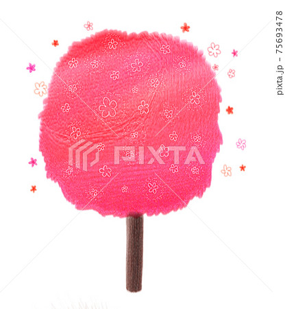 木 花 桜 75693478