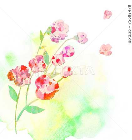 花束 花 カーネーション 75693479