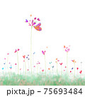 花 花畑 秋 75693484