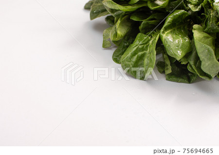 Spinach leaves with a place for writing on a white background. 75694665
