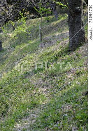 遊歩道 75694750