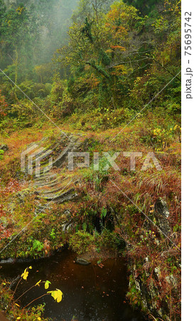 Beautiful scenery of waterfall at Kikuchi Keikoku after raining with light fog, Kumamoto, Japan Beautiful scenery of waterfall at Kikuchi Keikoku after raining with light fog, Kumamoto, Japan 75695742