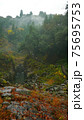 Beautiful scenery of waterfall at Kikuchi Keikoku after raining with light fog, Kumamoto, Japan 75695753