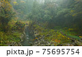 Beautiful scenery of waterfall at Kikuchi Keikoku after raining with light fog, Kumamoto, Japan 75695754