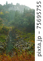 Beautiful scenery of waterfall at Kikuchi Keikoku after raining with light fog, Kumamoto, Japan 75695755