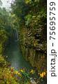 Beautiful scenery of waterfall at Kikuchi Keikoku after raining with light fog, Kumamoto, Japan 75695759