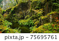 Beautiful scenery of waterfall at Kikuchi Keikoku after raining with light fog, Kumamoto, Japan 75695761