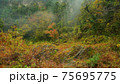 Beautiful scenery of waterfall at Kikuchi Keikoku after raining with light fog, Kumamoto, Japan 75695775