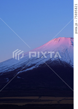 紅富士になる瞬間 75695821