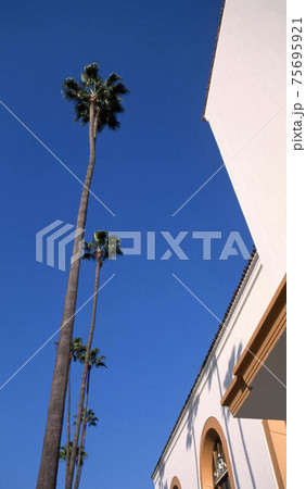 ロスアンゼルス 75695921