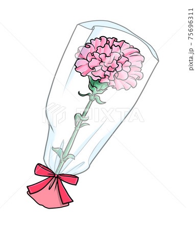 ラッピングされたピンク色のカーネーションのイラスト素材 ラッピングされたピンク色のカーネーションのイラスト素材