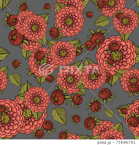 Seamless pattern with f dahlia lowers, nature floral background. 75696791