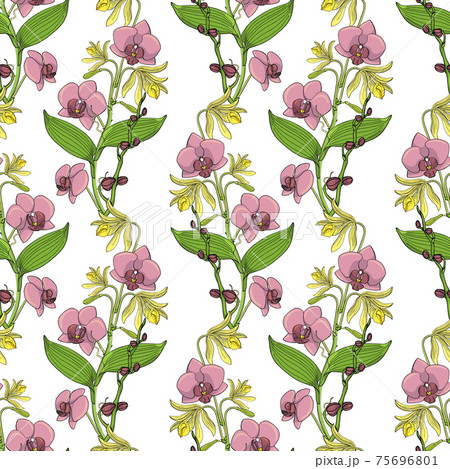 Seamless pattern with orchid flowers, nature floral background 75696801