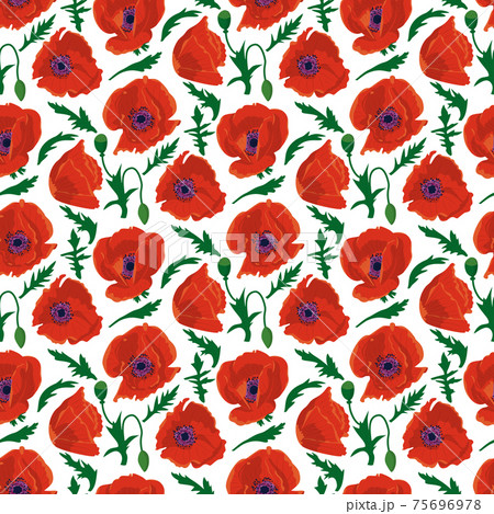 Seamless pattern with hand drawn red poppy flowers on white background. Vector illustration Seamless pattern with hand drawn red poppy flowers on white background. Vector illustration 75696978