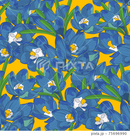 Hand drawn blue crocus flowers seamless floral pattern. On yellow background. Vector illustration 75696990