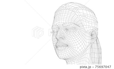 Wireframe portrait of a young beautiful girl 75697047