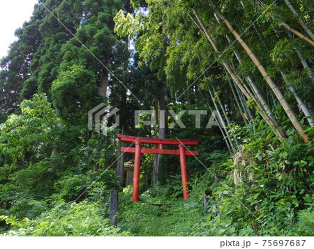 全国各地の厳島神社 新潟県関川村2 全国各地の厳島神社 新潟県関川村2 75697687