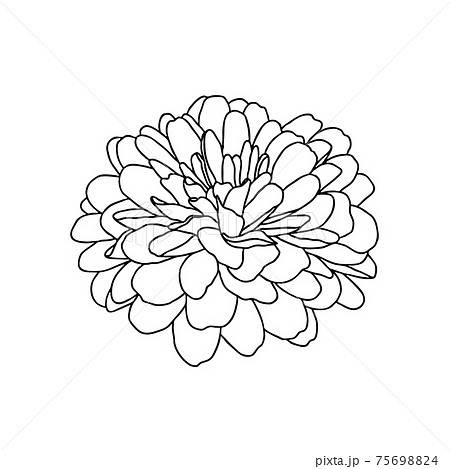 Buy Dahlia Clip Art Botanical Clipart Hand Drawn Floral Dahlia Online in  India  Etsy