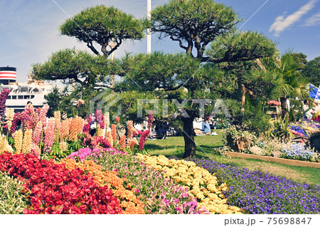 横浜・山下公園 75698847