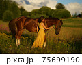 Beautiful woman with long hair in yellow dress standing near brown horse in among purple flowers in green field 75699190