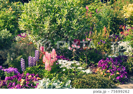 横浜・港の見える丘公園 75699262